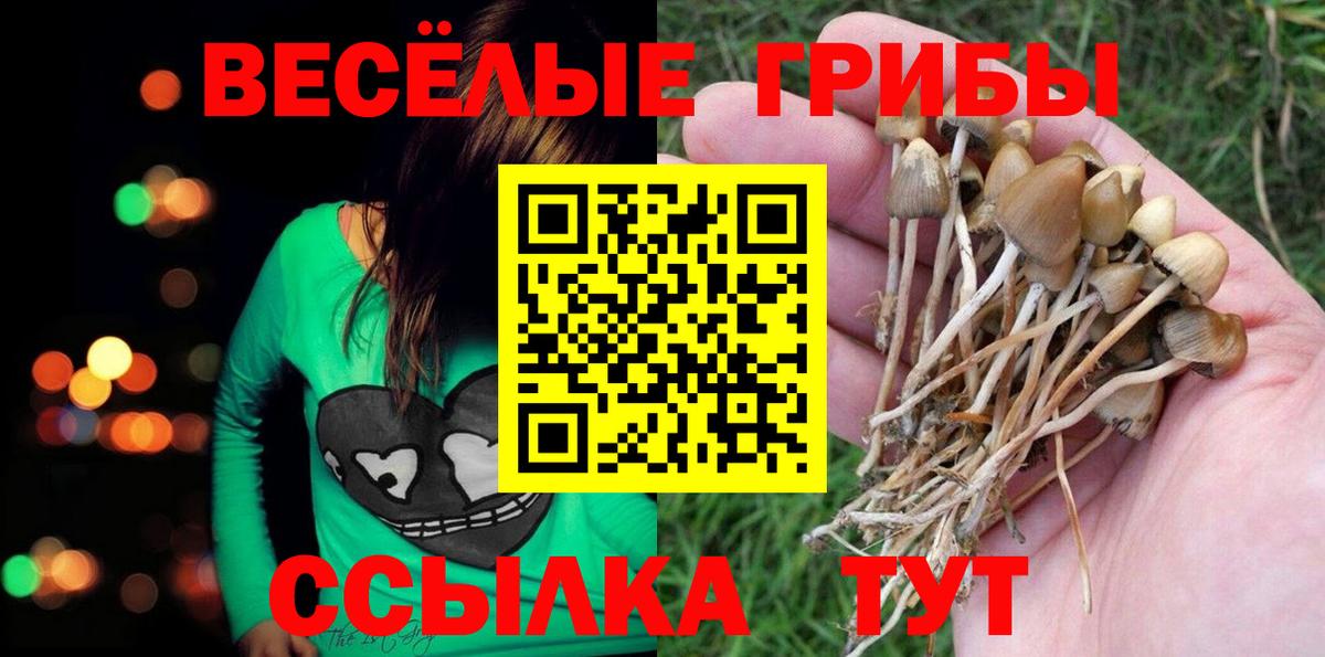 Галлюциногенные грибы MAGIC MUSHROOMS Кинель