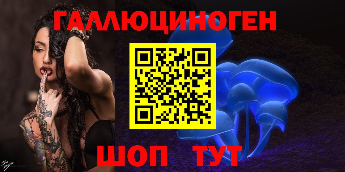 Кинель  Галлюциногенные грибы Psilocybine cubensis  Вход с VPN 